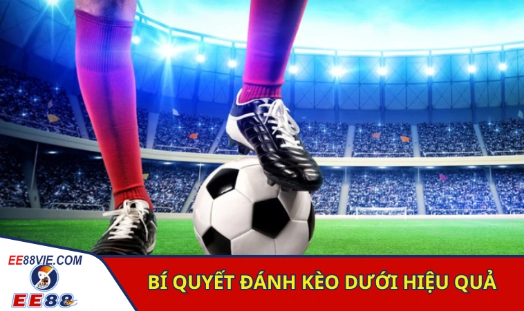 Cách Đánh Kèo Dưới Bao Ăn Thắng Lớn Từ Chuyên Gia 4 Bí kíp vào tiền cho cửa dưới đảm bảo thắng lớn