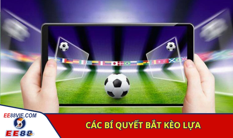 Các bí kíp giúp người chơi bắt kèo lựa thành công