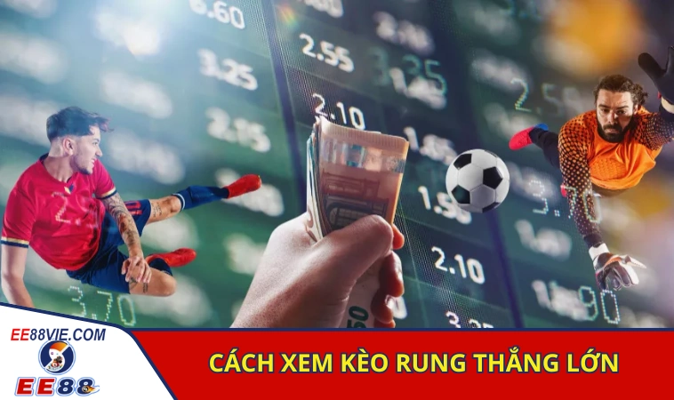 Cách xem kèo rung hiệu quả giúp người chơi thắng lớn