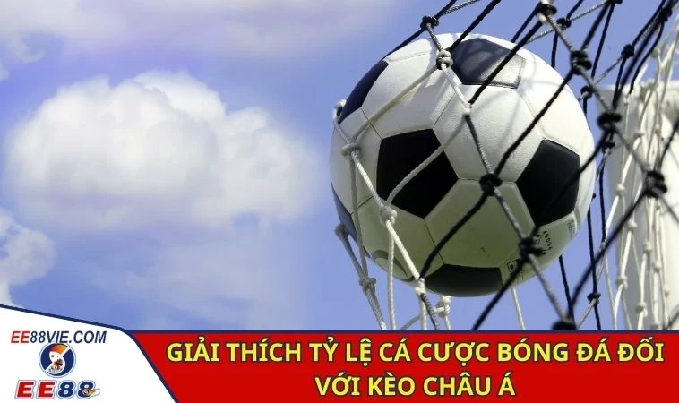 Giải Thích Tỷ Lệ Cá Cược Bóng Đá Chi Tiết, Cụ Thể Từ A - Z 3 Giải thích tỷ lệ cá cược bóng đá đối với kèo Tài/Xỉu
