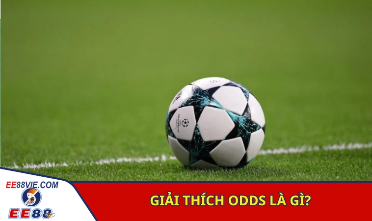 Odds Là Gì? Các Dạng Tỷ Lệ Cược Bóng Đá Hiện Nay 2 Lý giải tường tận odds là gì?