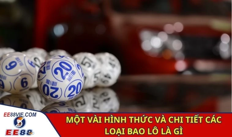 Một vài hình thức và chi tiết các loại bao lô là gì