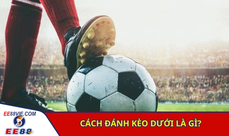 Cách Đánh Kèo Dưới Bao Ăn Thắng Lớn Từ Chuyên Gia 2 Tìm hiểu nhanh cách đánh kèo dưới là gì?