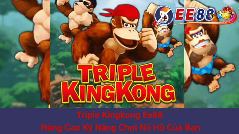 Triple Kingkong Ee88 - Nâng Cao Kỹ Năng Chơi Nổ Hũ Của Bạn 1 Triple Kingkong Ee88 - Nâng Cao Kỹ Năng Chơi Nổ Hũ Của Bạn