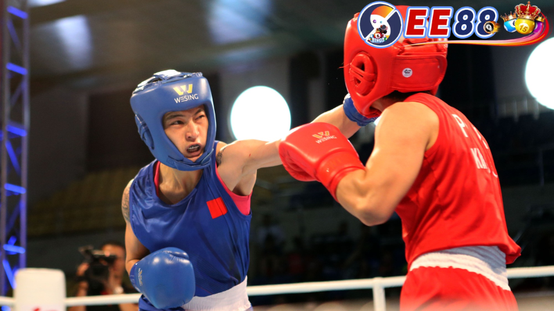 Cá Cược Quyền Anh Ee88 - Gợi Ý Chọn Lựa Cá Cược Hiệu Quả 2 Phân tích thông tin trước khi cá cược quyền anh