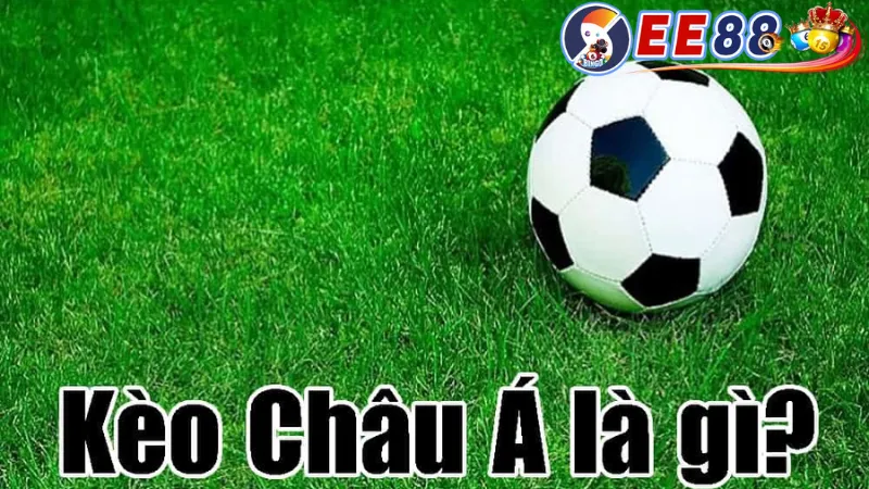 Kinh nghiệm đặt cược Tỷ lệ kèo châu Á ee88 hiệu quả